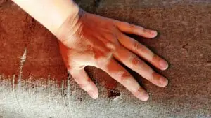 Verbindung mit der Natur