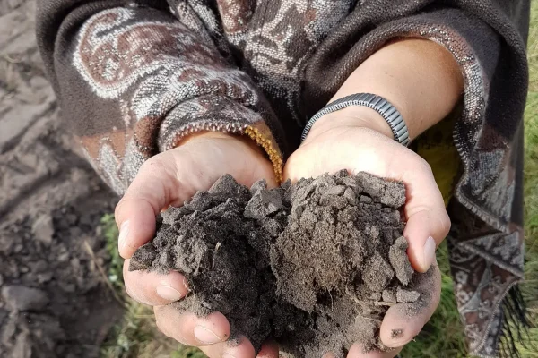 Urkraft Fruchtbarkeit